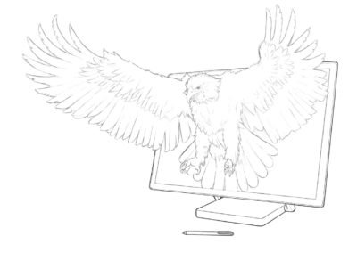 Illustration eines Seeadlers / Illustrator: Sascha Riehl
